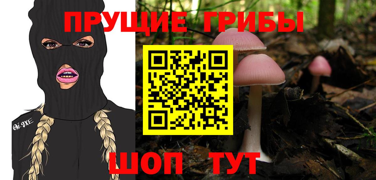 Сорочинск  цена наркотик  Вход с VPN  Псилоцибиновые грибы прущие грибы  Галлюциногенные грибы Cubensis 